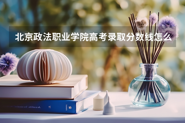 北京政法职业学院高考录取分数线怎么算？