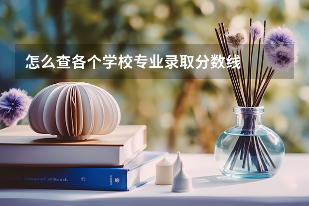 怎么查各个学校专业录取分数线