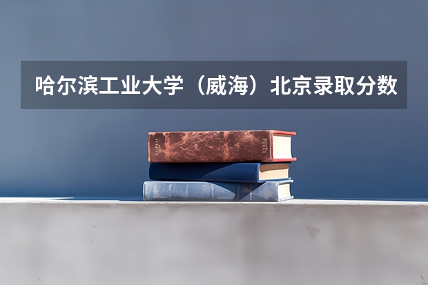 哈尔滨工业大学（威海）北京录取分数线是多少 今年招生人数是多少