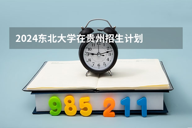 2024东北大学在贵州招生计划