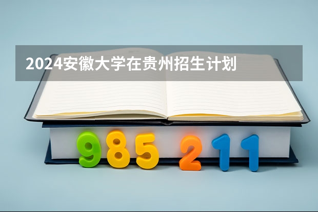 2024安徽大学在贵州招生计划