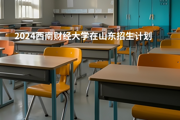 2024西南财经大学在山东招生计划表