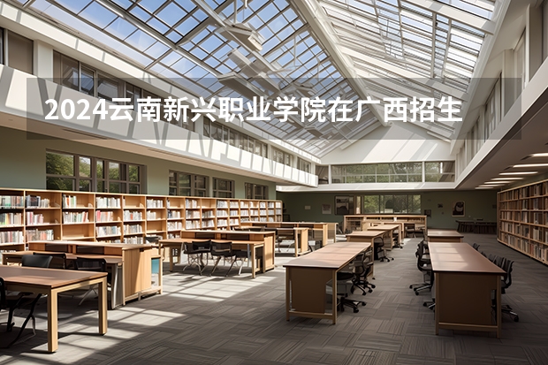 2024云南新兴职业学院在广西招生计划