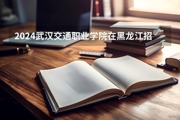 2024武汉交通职业学院在黑龙江招生计划