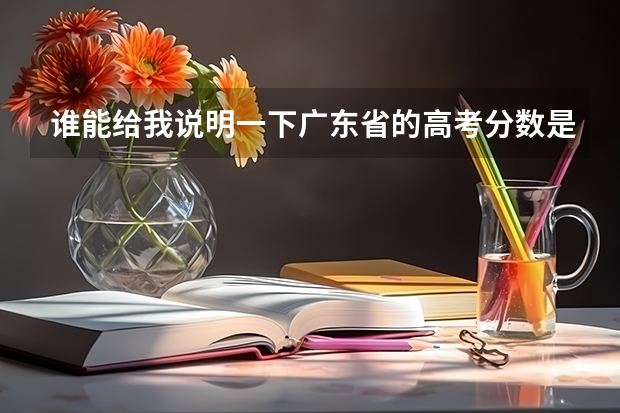 谁能给我说明一下广东省的高考分数是什么意思？什么术科、3A、2B的…