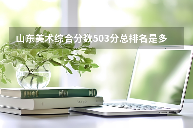 山东美术综合分数503分总排名是多少？