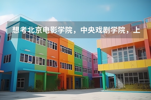 想考北京电影学院，中央戏剧学院，上海戏剧学院，如果不参加艺考，不走艺考生的形式，走大文大理可以上吗