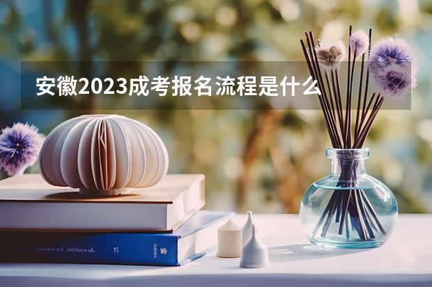 安徽2023成考报名流程是什么