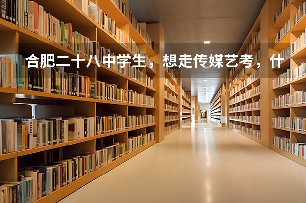 合肥二十八中学生，想走传媒艺考，什么是省考什么是校考？两个考试都要参加吗？