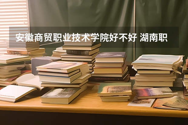 安徽商贸职业技术学院好不好 湖南职业技术学院排名