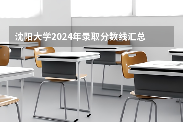 沈阳大学2024年录取分数线汇总