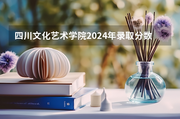 四川文化艺术学院2024年录取分数线汇总